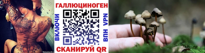 сайты даркнета какой сайт  Донской  Галлюциногенные грибы MAGIC MUSHROOMS 