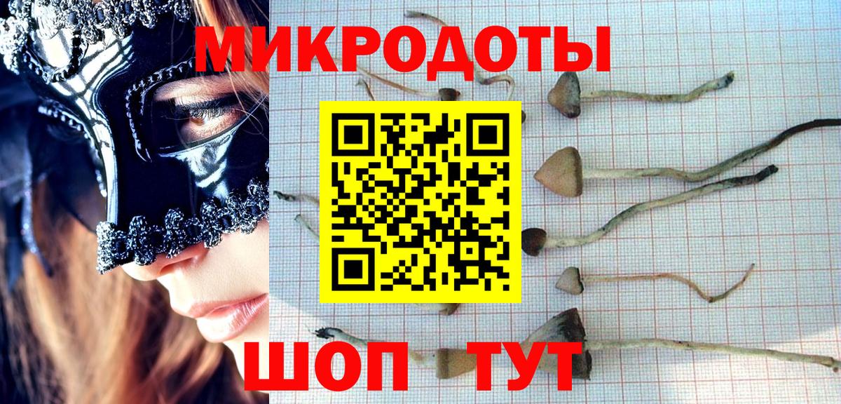 где купить наркоту  Вход с VPN  Донской  Галлюциногенные грибы прущие грибы  Галлюциногенные грибы ЛСД 